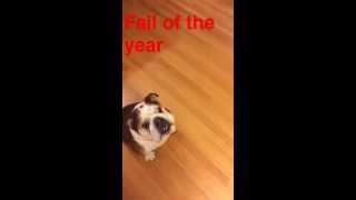 You can&#39;t teach an old dog new tricks