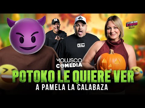 Potoko: Lo que le quiere ver a Pamela Noa / Moncho Artuaga y Junito Perse
