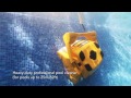 Dolphin Wave 100 Professioneller Schwimmbadreiniger Time4wellness