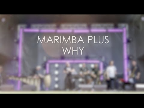 Marimba Plus - "WHY"