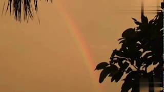 Download lagu INSTRUMENTAL COVER 'Laskar Pelangi' (Nidji) Acoustic mp3 Download lagu INSTRUMENTAL COVER 'Laskar Pelangi' (Nidji) Acoustic mp3