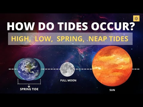 How Do Tides Occur? Low tide, High Tide, Spring Tide, Neap Tide