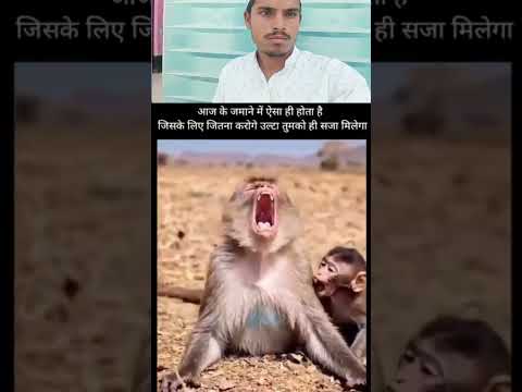 Jaan hajir Hai mustfa ke liye#youtubeshorts #1000subscriber #trendingshorts #viralvideo #shortvideo
