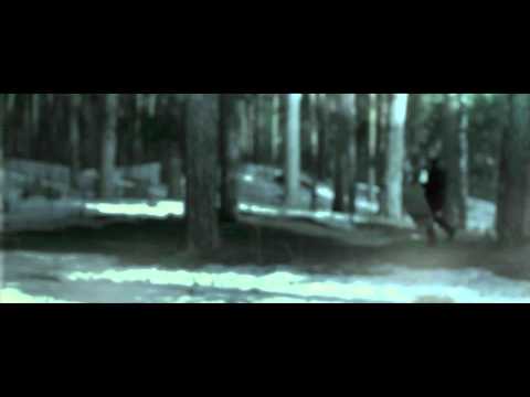 Moonbeam feat. Avis Vox - Hate Is The Killer [Moonbeam Digital]