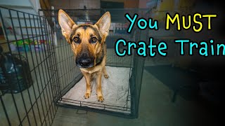 Why You Should Crate Train Your German Shepherd Dog! Even if they Live Outside.