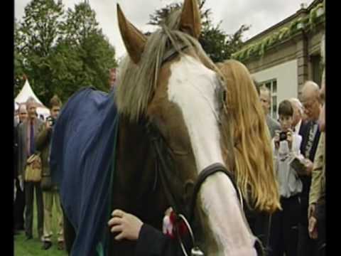 250 Years of the Doncaster Cup Part 2 - Doncaster Racecourse