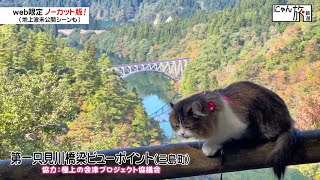 Vol.180「にゃん旅鉄道」只見線と一緒に写真を撮るにゃ♪