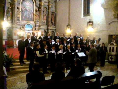 Zdravo, Zvijezdo mora -- starohrvatski glagoljaški napjev sa zadarskih otoka, obr. Neven Kraljić