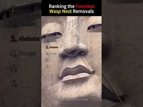 Ranking the Funniest Wasp Nest Removals #asmr #snow #funny #odlysatisfying #ice #satisfying #fyp
