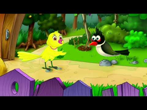 Birds Minisode Compilation  Leo the Wildlife Ranger | Animation | For Kids