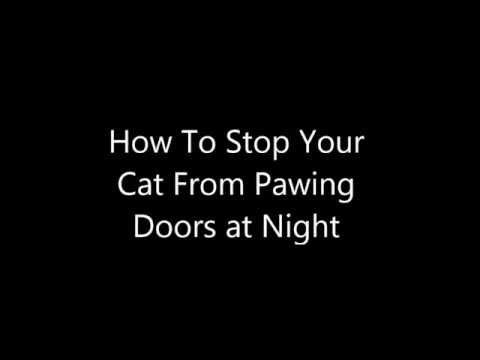 How to stop cats from scratching doors at night