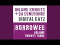 Digital Catz