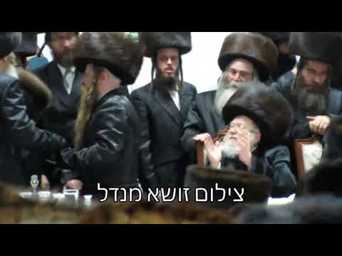 Bar Mitzvah Of A Grandson Of Dzikov Viznitz And Kretchnif Rebbes Elul 5781