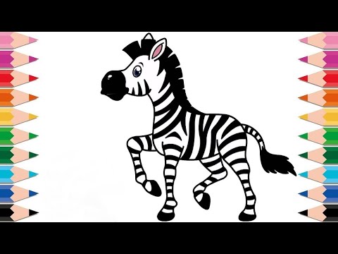 Zebra Drawing, Painting and Coloring for Kids & Toddlers | How to Draw, Paint Animals