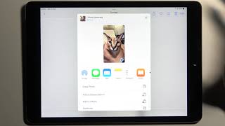 How to Hide Photos on iPad 2021 - Manage Gallery Settings on iPad 9th