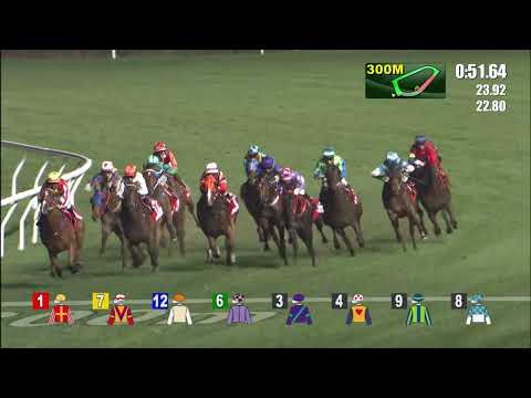 15/12/2021 (260) A Smile Like Yours - J Moreira