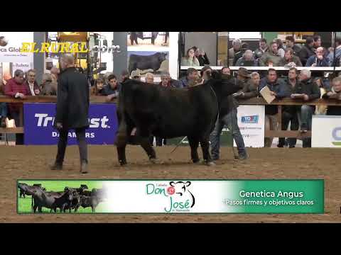 26-05-22- Jura de Clasificación Individual de Hembras - Parte 02 -  Expo. Angus Centenario