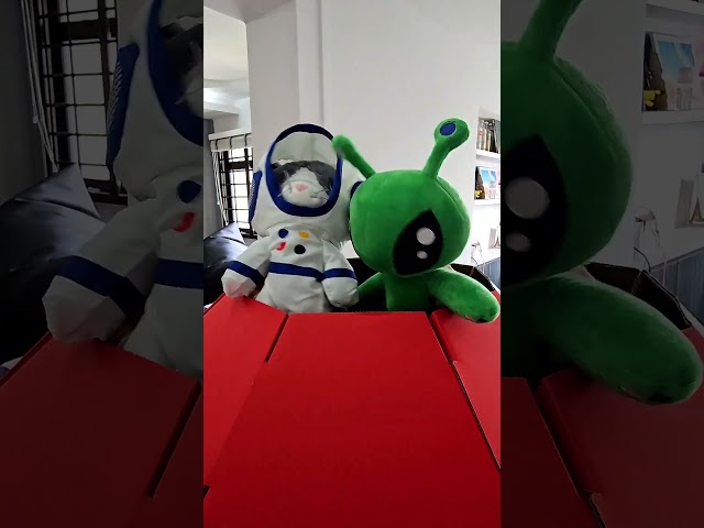 Vídeo relacionado con 34cm Alien Felpa de Juguete,Juguete de peluche extranjero suave,Green Aliens Plush Doll Juguetes de peluche de peluche Almohada para niños Figura Regalo