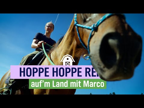 Marco Scheels Traum wird wahr: Reitenlernen beim Pferdeflüsterer | Folge 11 | NDR auf'm Land
