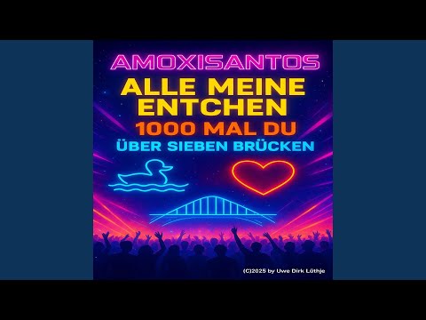 Techno Megamix – Entchen, 1000x Du, 7 Brücken (Sweet Version)