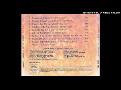 Saara Zamana (Savage lovers mix) Cover