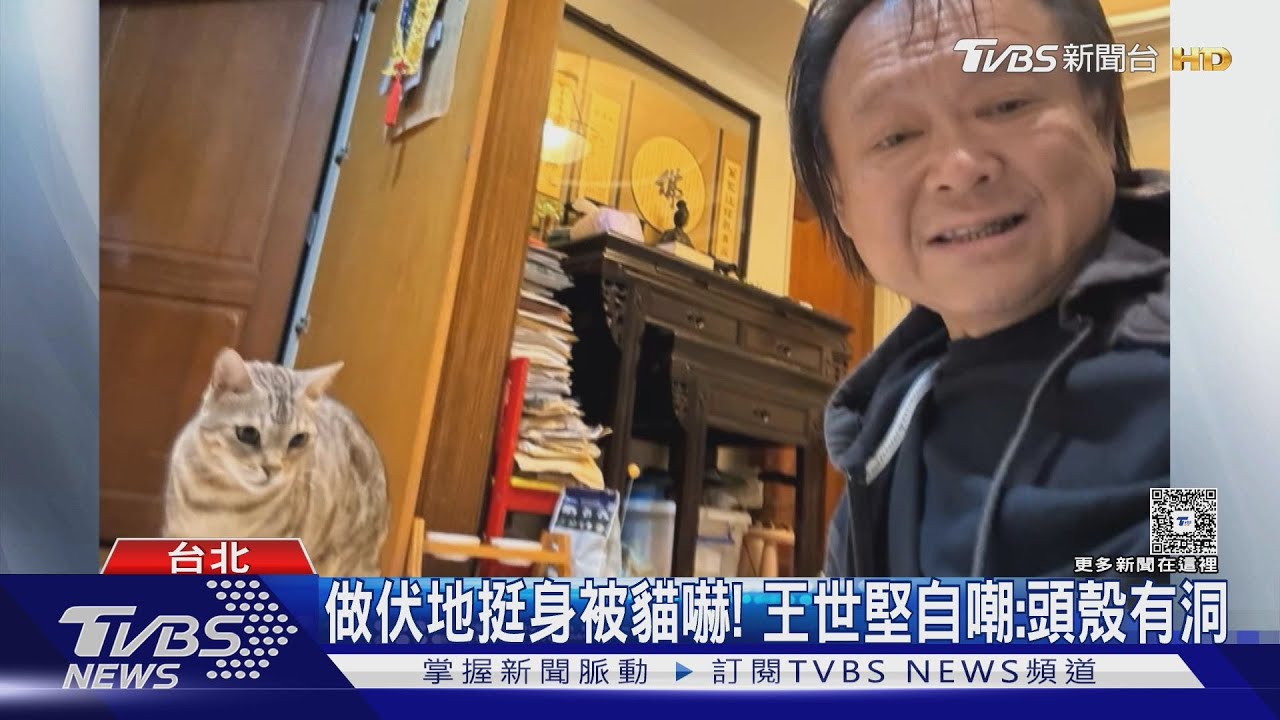 做伏地挺身被愛貓嚇！　王世堅自嘲：頭殼有洞