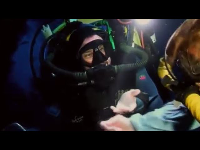 The Fish Collectors | Pacific Abyss | BBC Earth