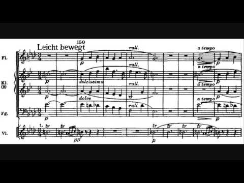 Richard Wagner - Siegfried Idyll