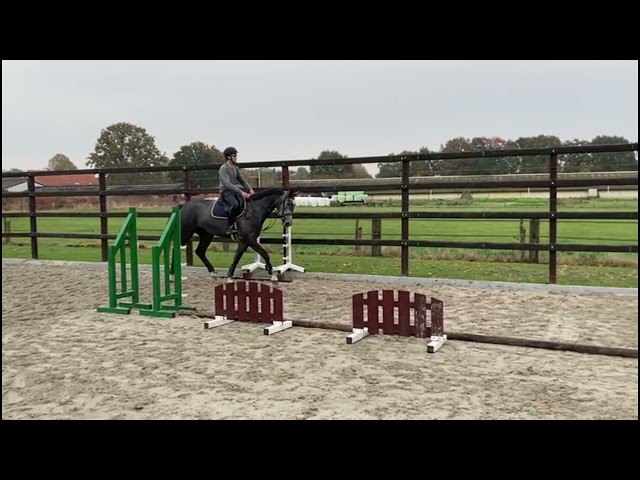 Do It jumping under saddle