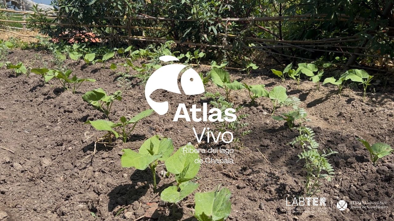 Lago de Chapala · naturaleza y comunidad