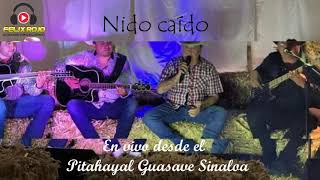 Nido Caído - Miguel y Miguel La Voz Original