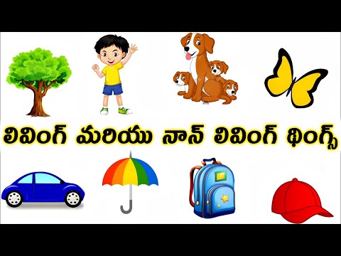 లివింగ్ మరియు నాన్ లివింగ్ థింగ్స్ -Living and Nonliving Things For Kids Pre School Videos In Telugu