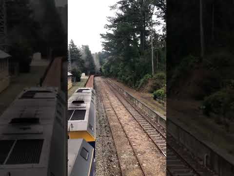 TRAINS AM22 2M41S RailFirst's EL53 EL56 Rail Delivery, Mt Lofty, South Australia 15/07/2022