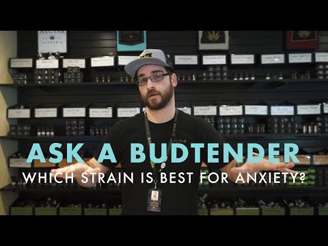 Which Strain Is Best For Anxiety? | Ask A Budtender