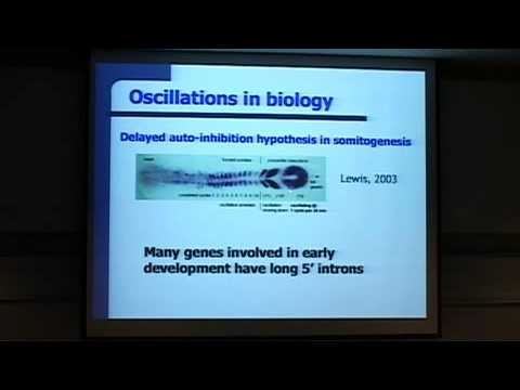 Genetic Circuit Design 3