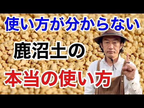 泥炭を含まないシャクナゲの土:自分で混ぜるだけ 植物