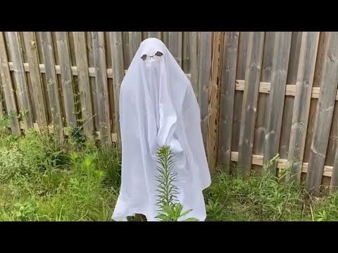 When Your Opp Comes Back To Haunt You 😂😂😂