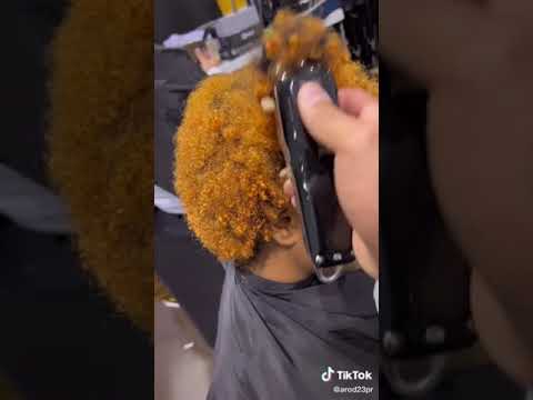 Wahl Professional Clipper for Professional haircut