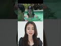 GAK PERCAYA PUTRI DUYUNG SAMPAI AKHIRNYA PARAH NI