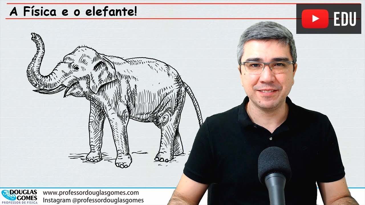 A Física e o elefante | Estudo do som | Física todo dia