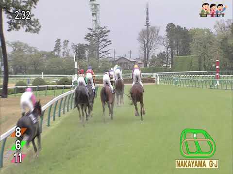 NAKAYAMA 11RTHE NAKAYAMA GRAND JUMP(J . G1)