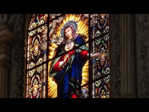 Deutsche in morón de la Frontera (November 2024)