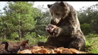 The Jungle Book มิวสิควิดีโอ &quot;The Bare Necessities&quot;