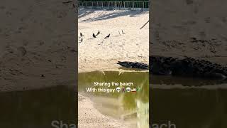 Well hello there! #cruise #crocodile #cruisenorwegian 🕺🪩🚢🐊