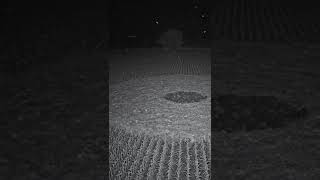 CCTV Captures Part Of Crop Circle Formation