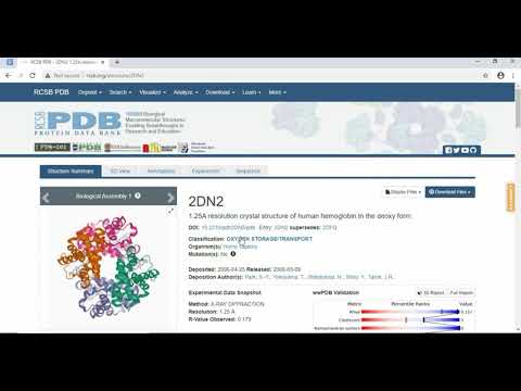 How to download protein structure tutorial || Bioinformatics || RCSB PDB