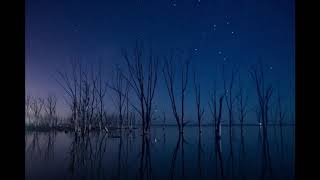 Palabras Estorbantes - La Renga