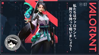 【PC】初心者がやる！『VAROLANT』