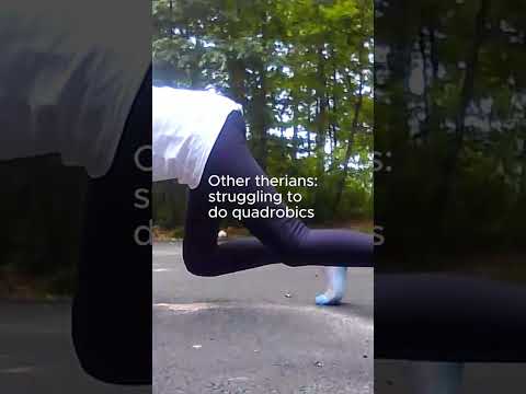 Bird therians can fly 🤩 wow  #therian  #theriangear  #therianpride  #foxtherian