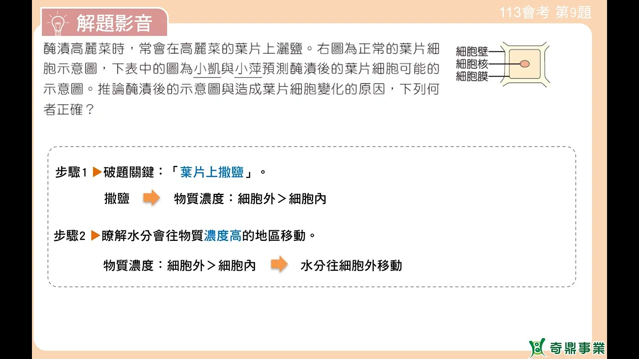 P.19 單元1 113會考第9題